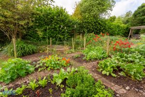 Photo 38- click for photo gallery